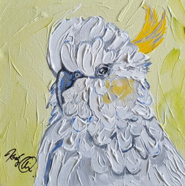 Dash Of Lime Kristy Quinn 1