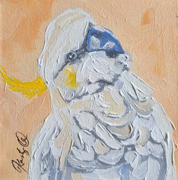 Kristy Quinn Just Peachy 1