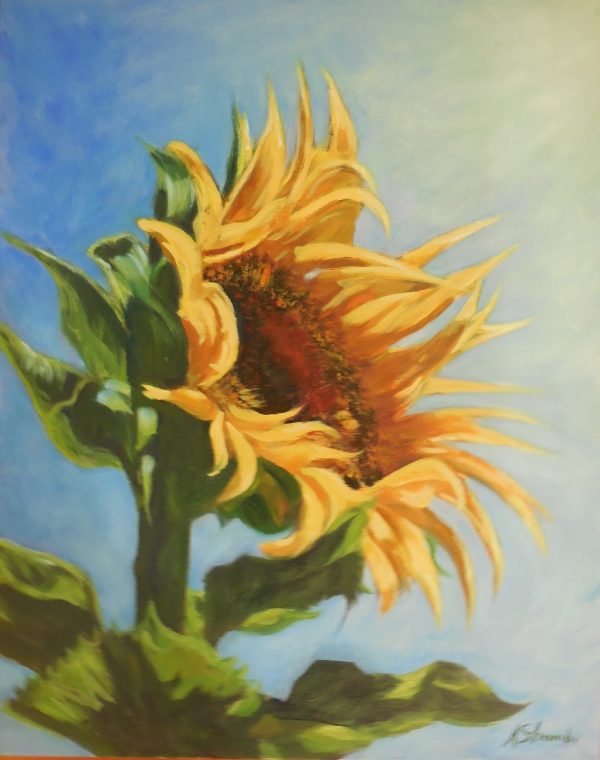 Sunflower Final