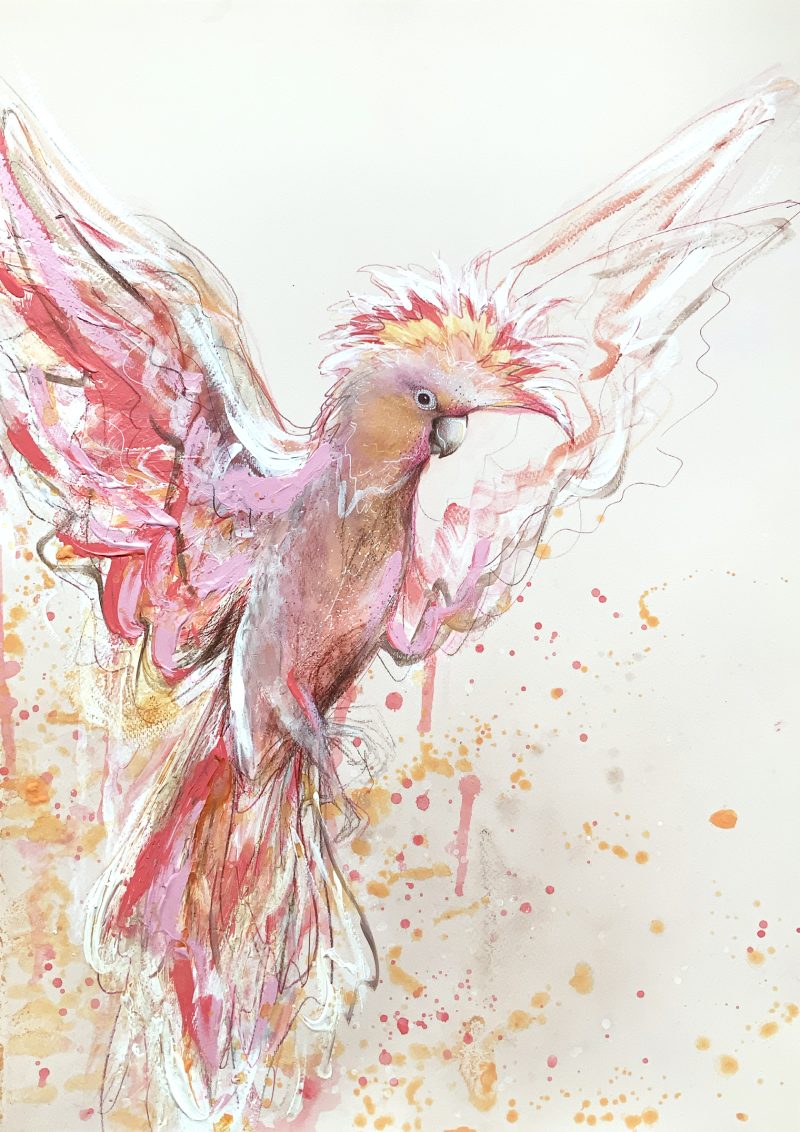 Major Mitchell, Joy In Flight