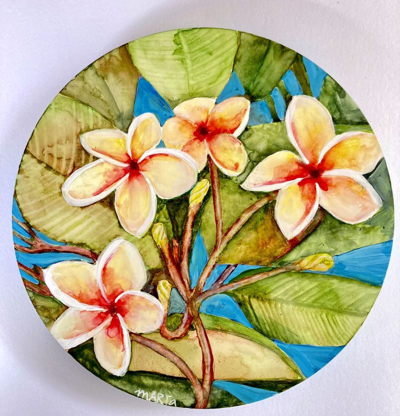 Frangipani
