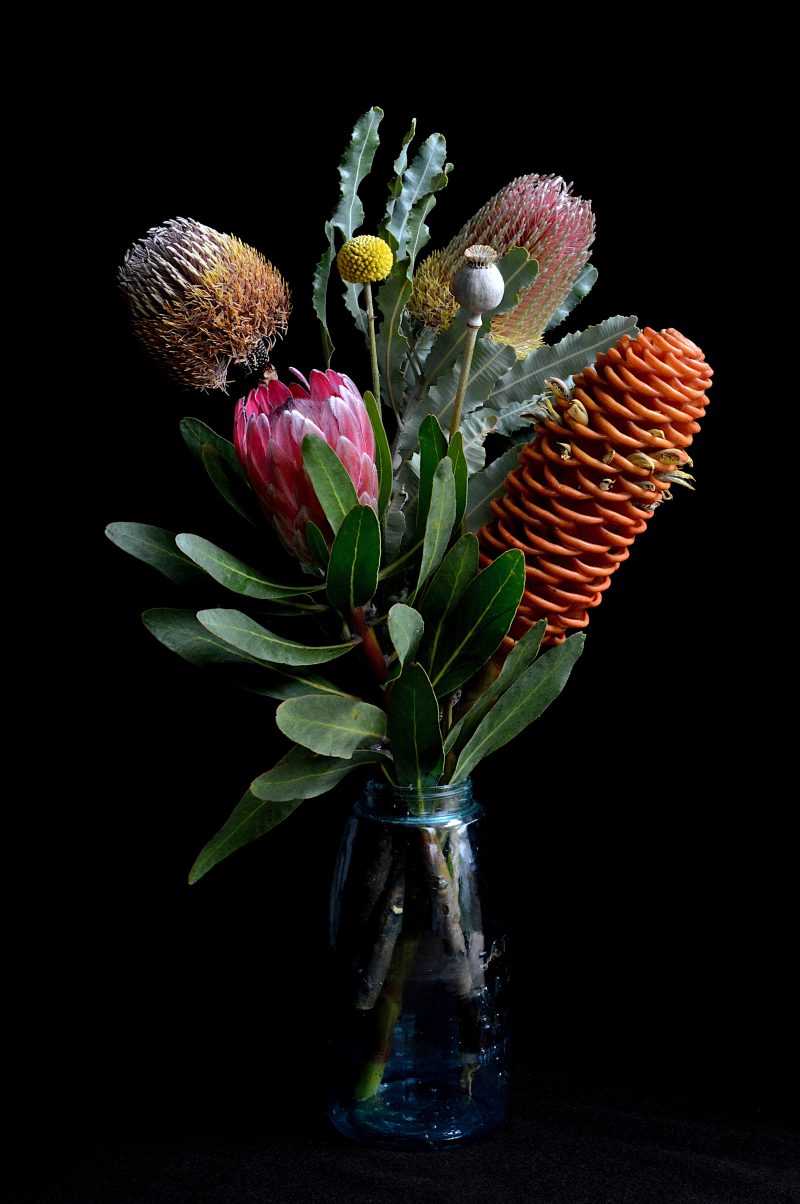 Banksia, Beehive and a Billy Button – Framed ‘A Room With A View’ Exhibition