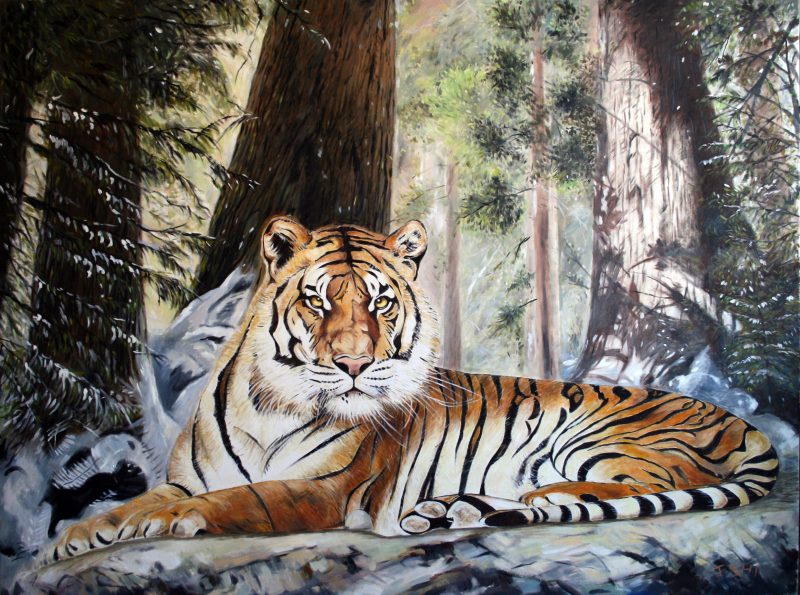 Beautiful tiger in winter snow forest