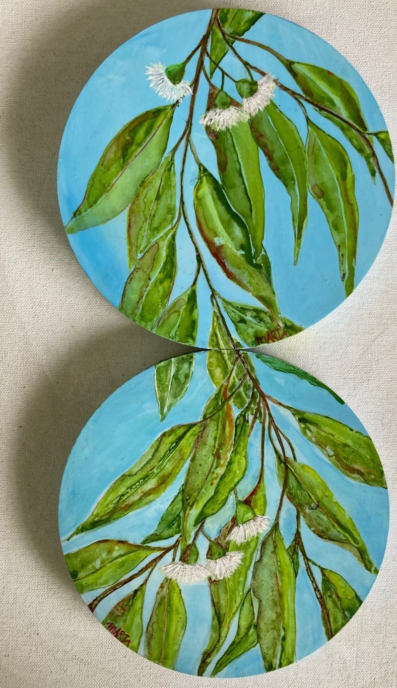 Australian White Bush Flowers – Diptych