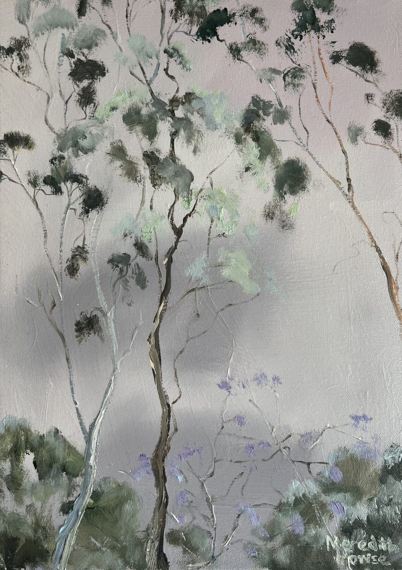 Illumination of Ashgrove