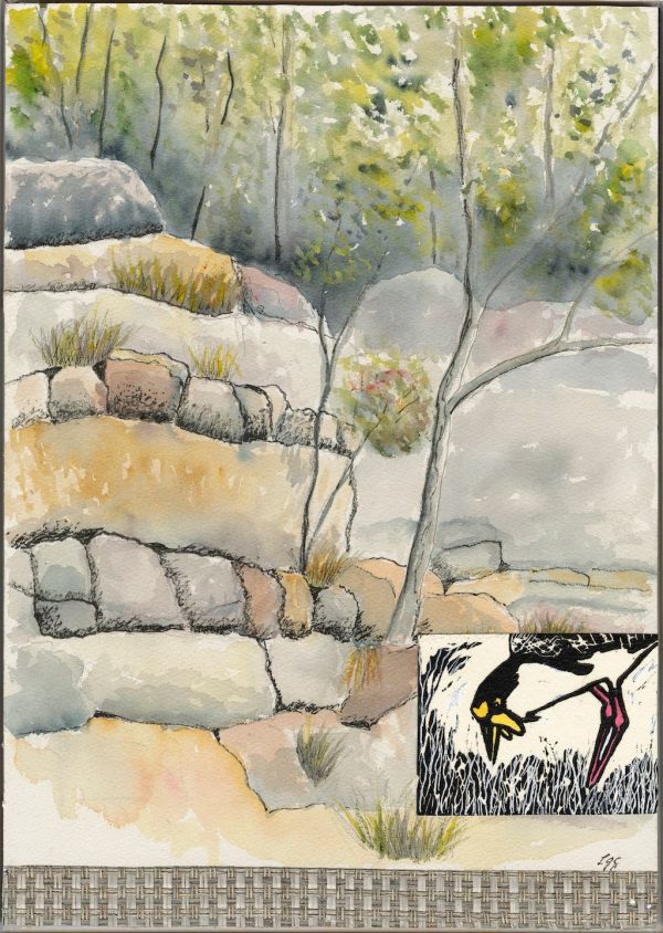 Lyn Graham Masked Lapwing Collage 30 X 42