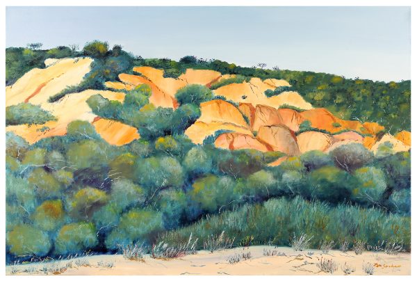 Lyn Graham Teewah Beach High Dune 1 Oil On Canvas 60 X 90
