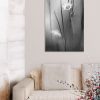 Moonflower Canvas Print Bernadette Meyers Art Lovers Australia