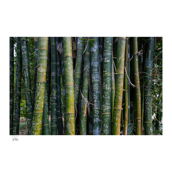 Pj 012 C.bamboo,75x75cm