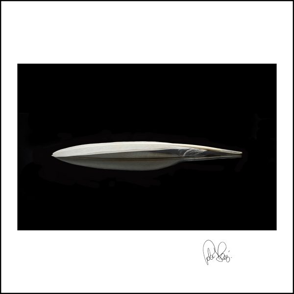 Pj 065. S.elegance.75x75cm Copy