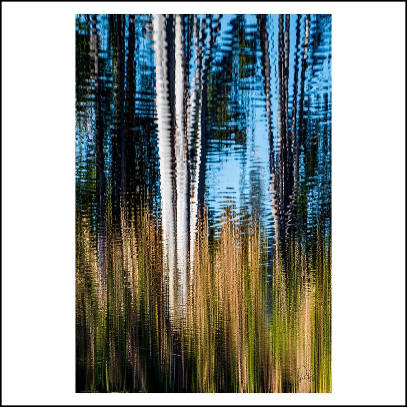 Lake Reflection