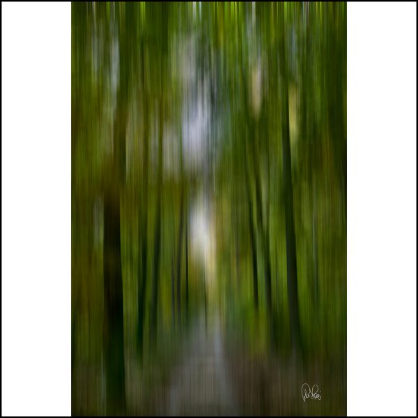 Pj 086 .s.forrest Ilusion.4.75x75cm