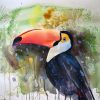Presenting The Great Toco Toucan