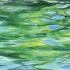 Reflections On Water By Alanah Jarvis Water Artist