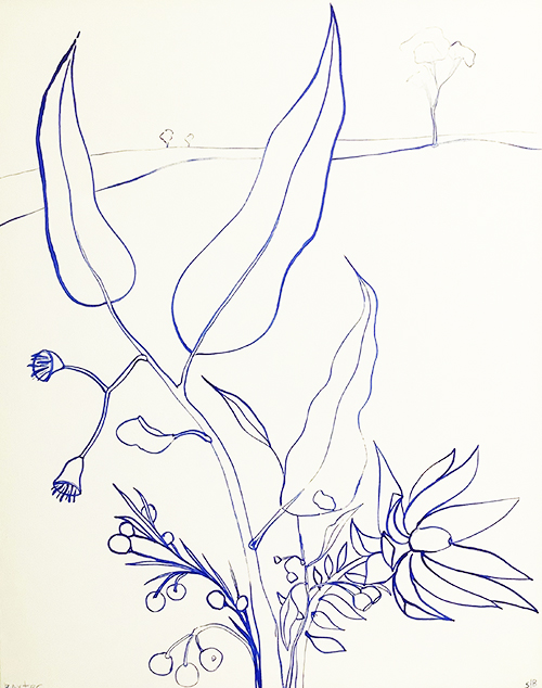 Australian Wildflower Landscape Blue