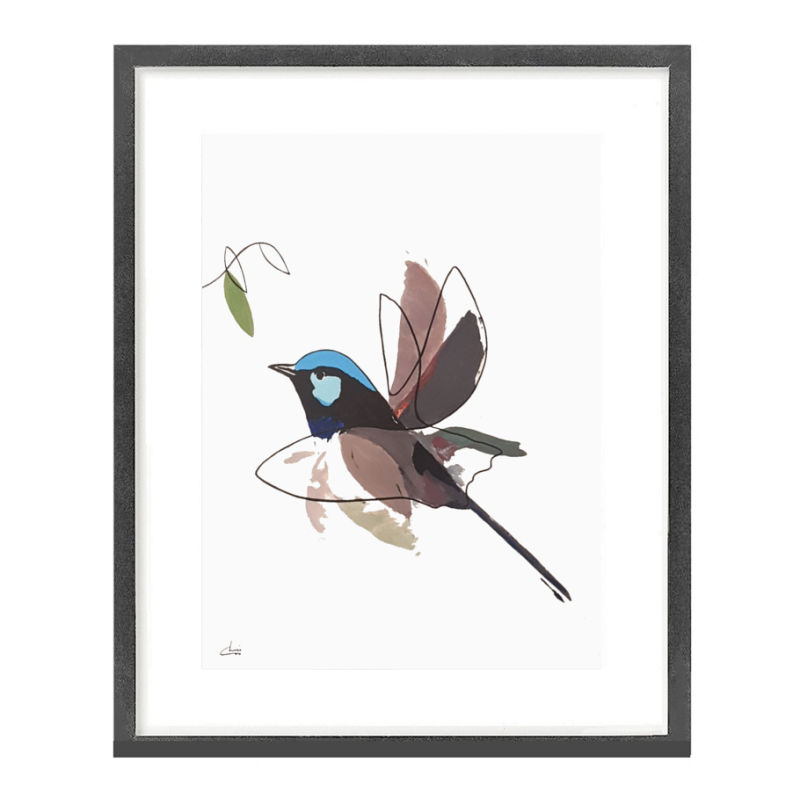 TrueMotion Superb FairyWren