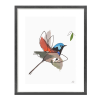 Truemotion Variegated Fairywren