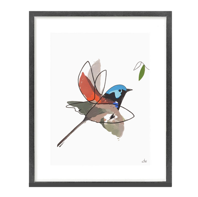 True Motion Variegated FairyWren