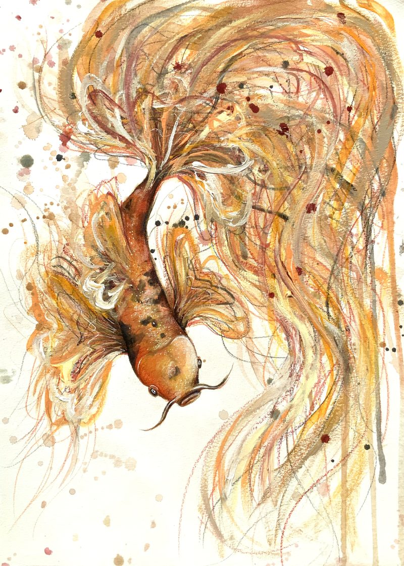 Koi Fish Spirit in Orange