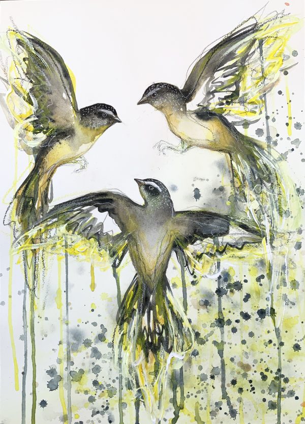 Sydney Artist Leni Kae Yellow Throated Wrens 100dpi Ns