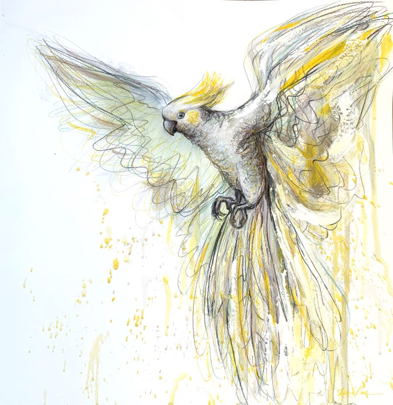 Cockatoo Sunshine Dance