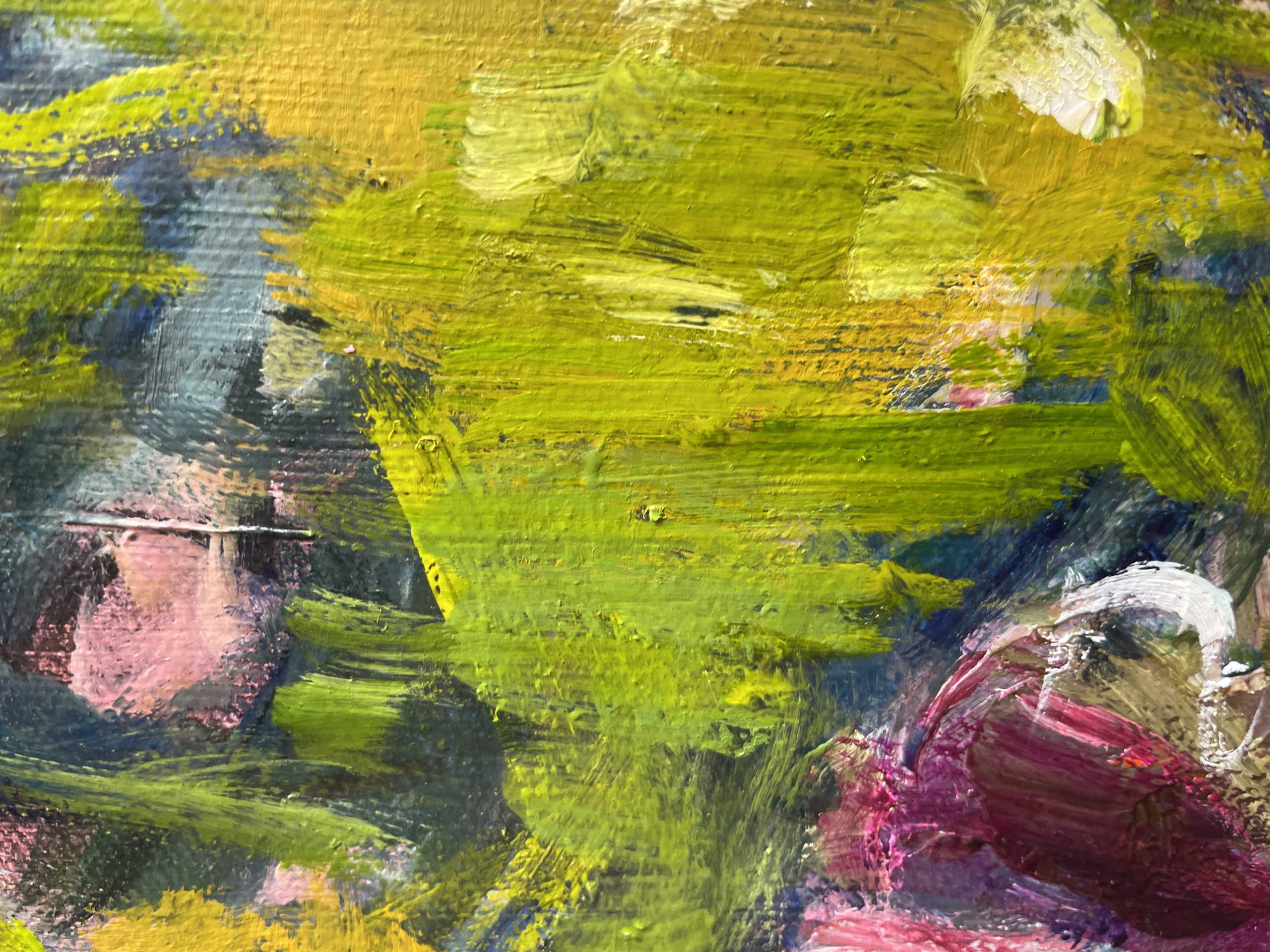 River Bed Dorrigo Close Up 2