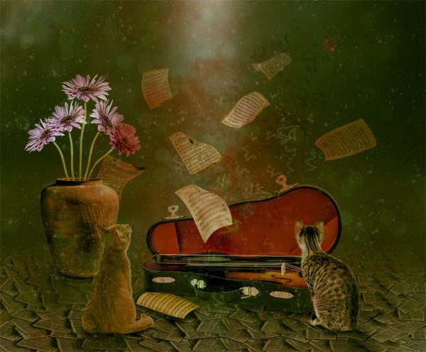 710 Boy Are We In Trouble Now