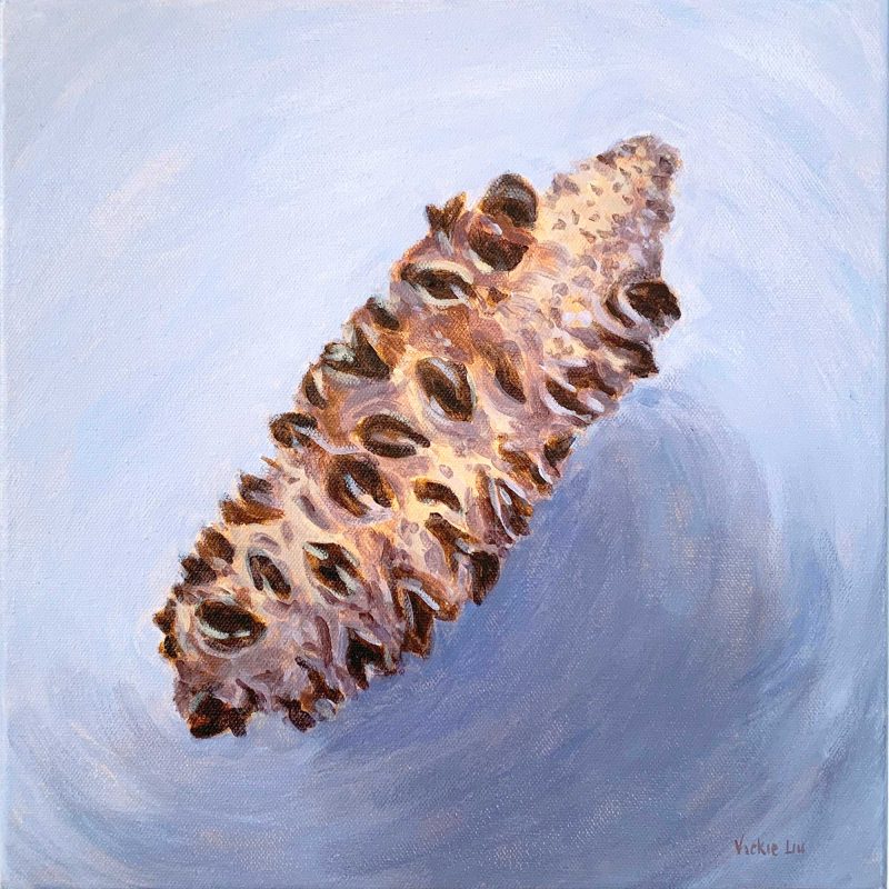 Banksia Seed Pod – Commission