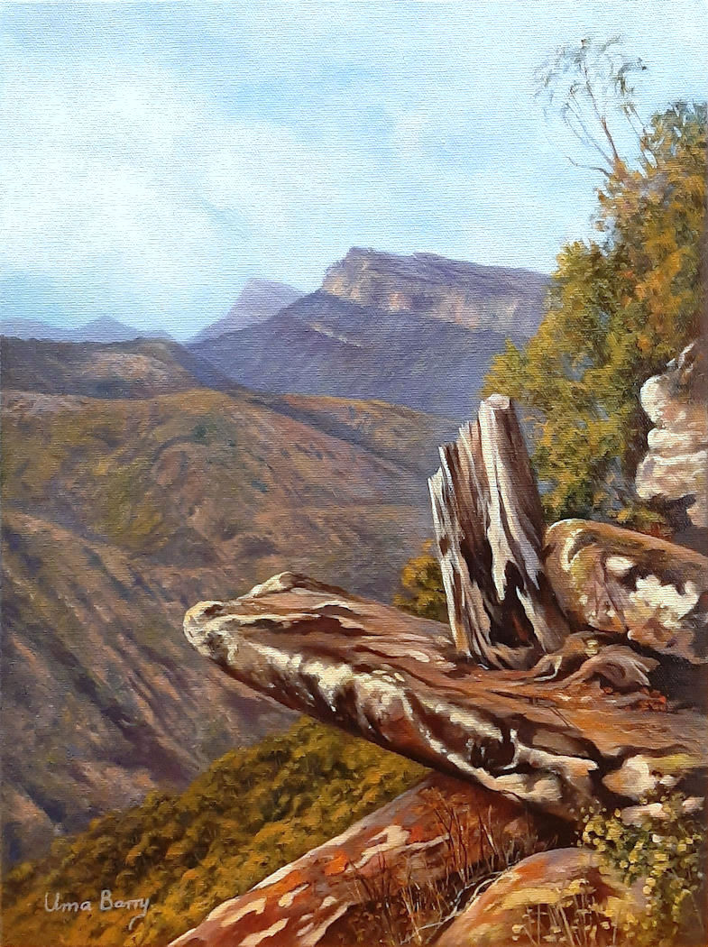 Into the Grampians (Boroka Lookout)