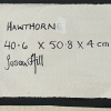 Hawthorn Signature:size Sq.