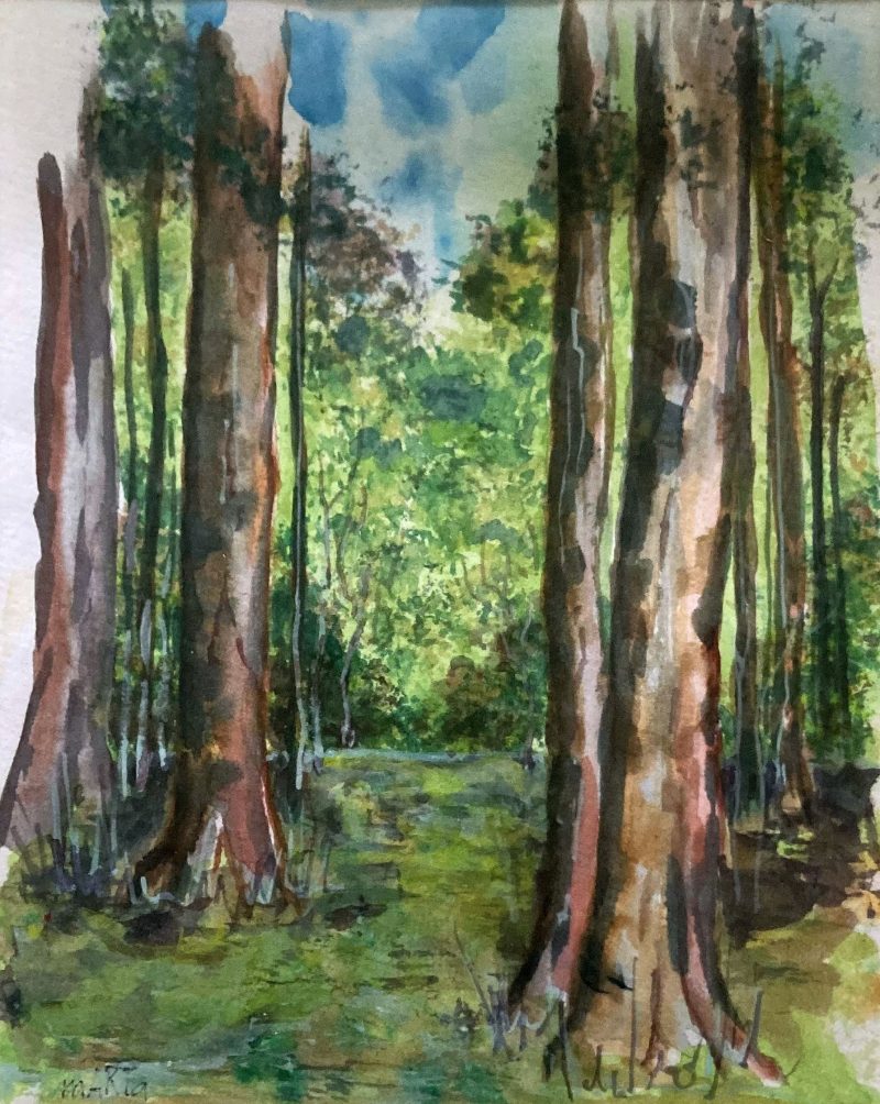 Through the Forest Glade