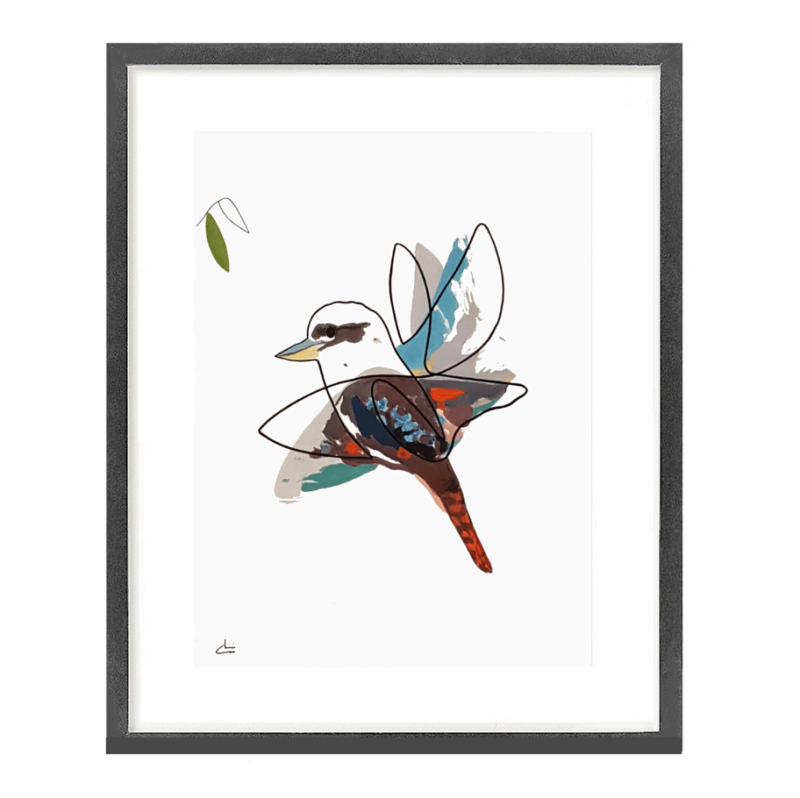 True Motion Kookaburra II