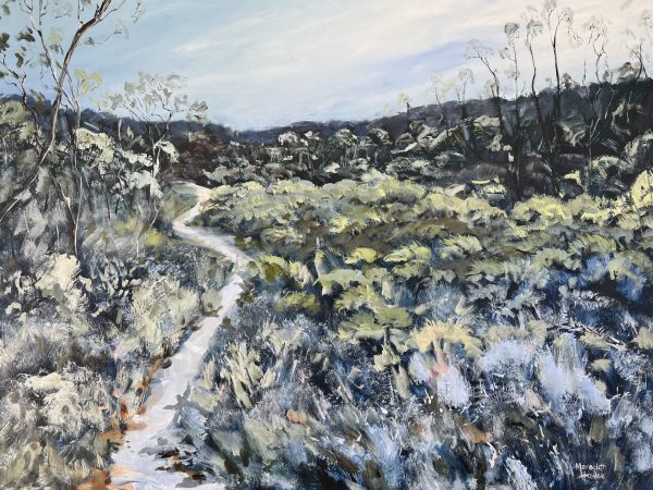 Overland Track By Meredith Howse