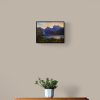 Plant On Wooden Drawers
