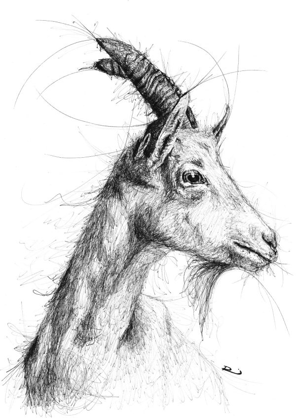 Renee Mitchell. Pop The Billy On. Scratch Series A3 Paper