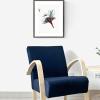 Truemotion Kookaburra Ii Chair