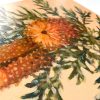 Vickie Liu Banksia In Glass Flask Painting Closeup