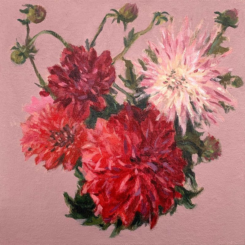 Dahlias and Flower Buds Study