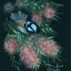 Anica Amphlett Blue Wren In Pink Bottlebrush Watercolour Bird Black