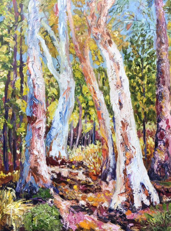 Australian Autumn Landscape