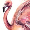 Sydney Artist Leni Kae Closeup1 Dance Of The Pink Flamingo 56x76 Bird Painting