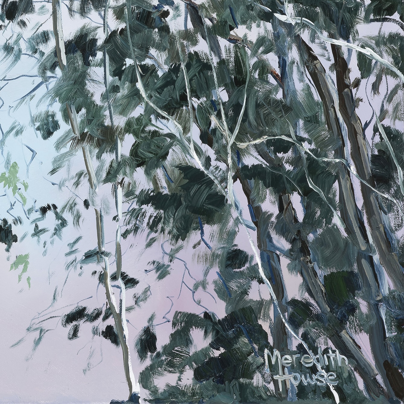 Meredith Howse 124 Illumination Of Ashgrove Trees 30cm Proof 2