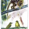Etching. Spoted Tailed Quoll And Two Golden Bower Birds Sm