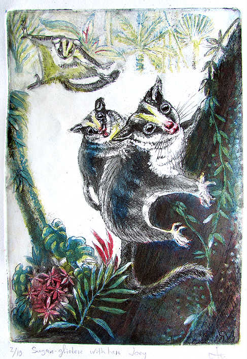 Sugar glider with her Joey