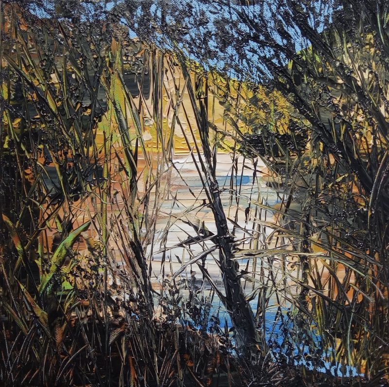 Lane Cove National Park