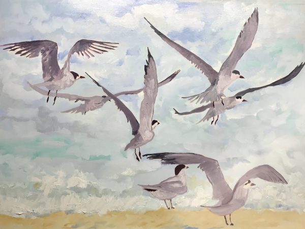 Img 7099 Taking Flight