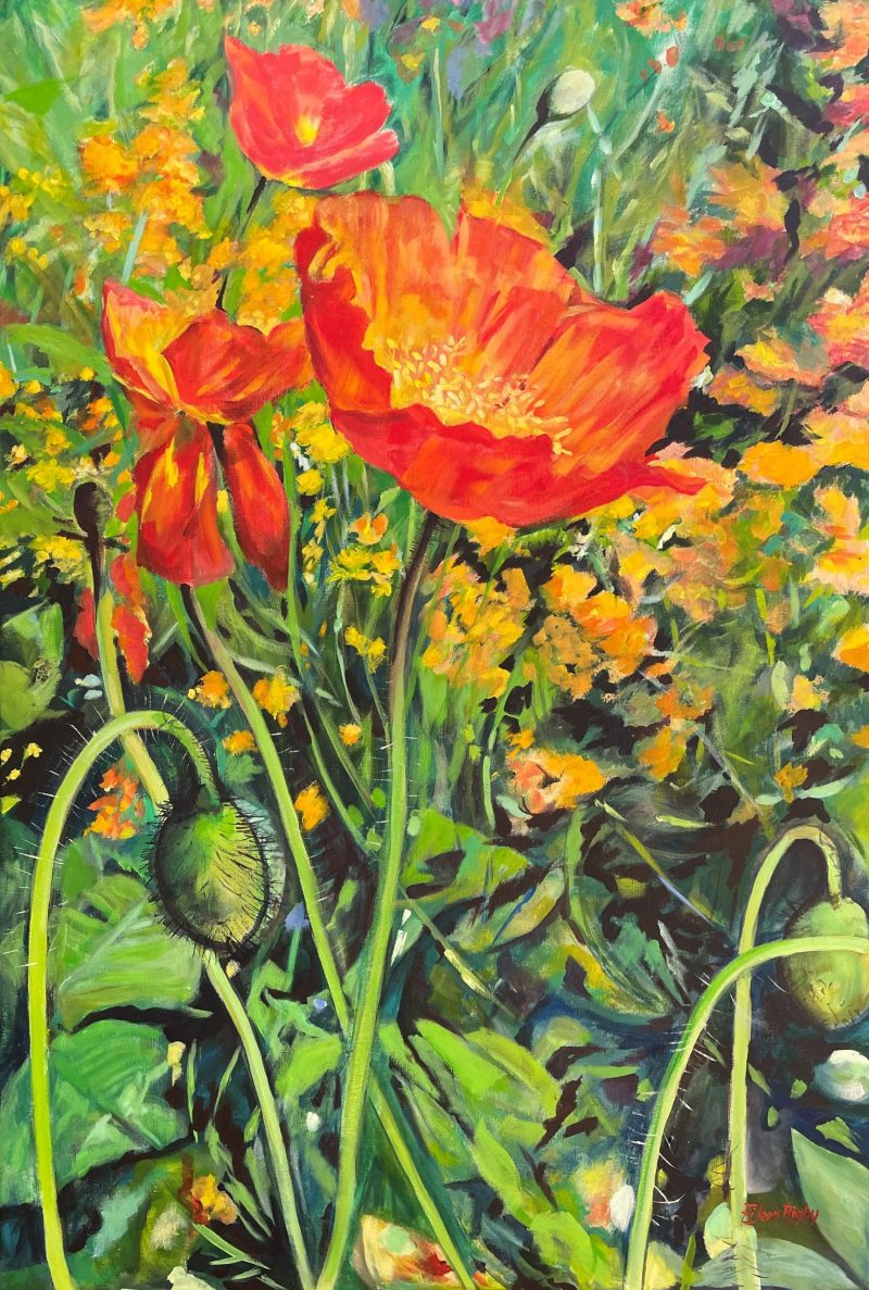 A Field of Poppies in Monet’s Garden