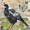 Magpie Web File