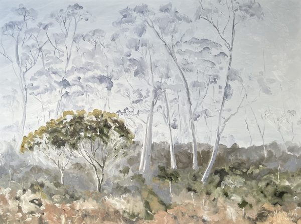 Middlesex Plains, Tasmania By Meredith Howse