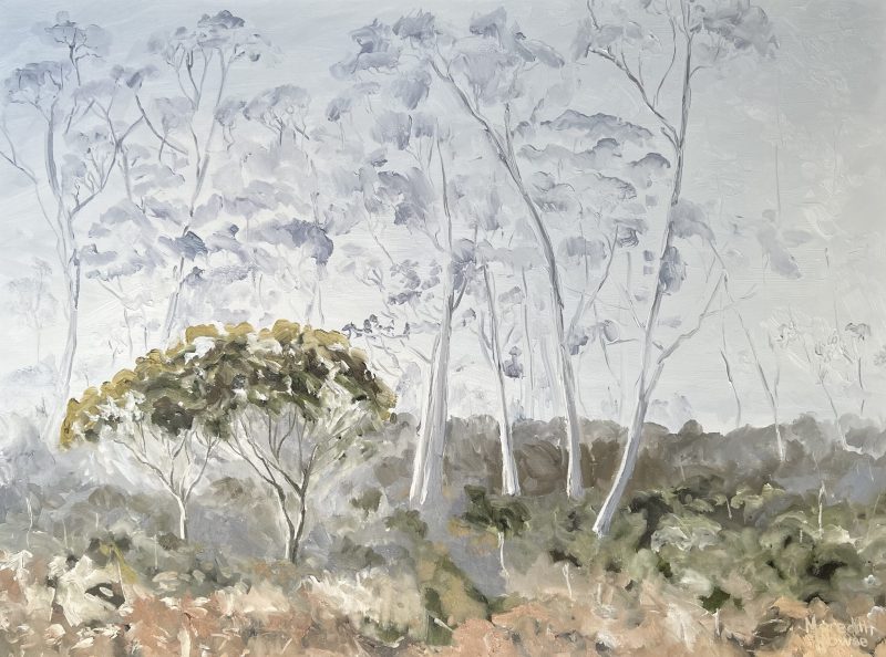 Middlesex Plains, Tasmania